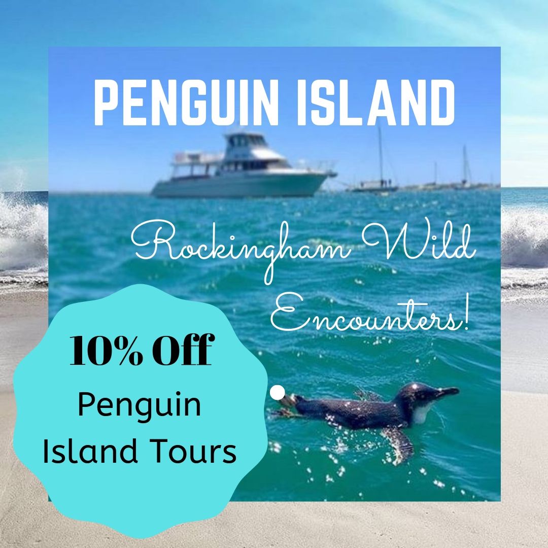 10% Penguin Island Tours