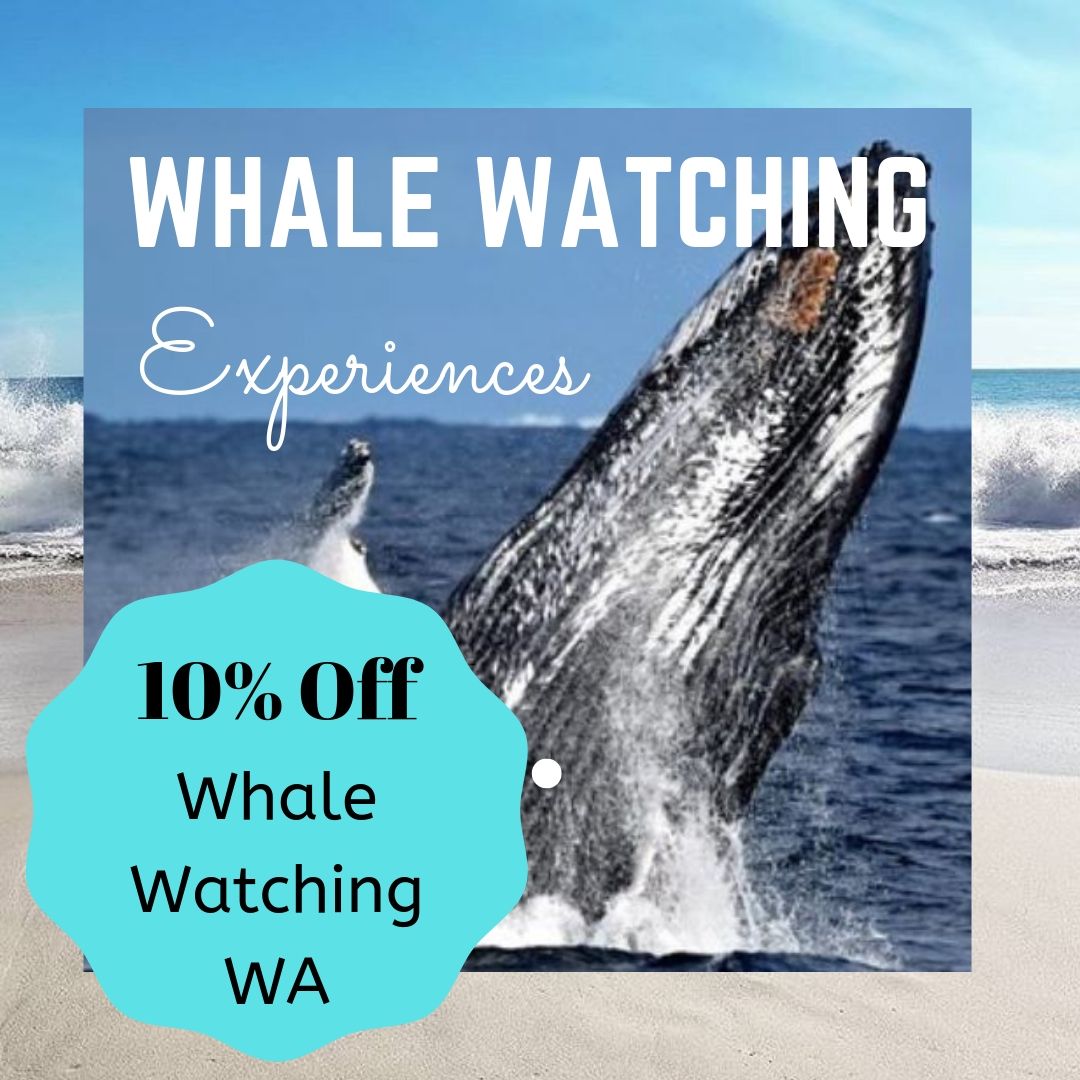 10% Off Whale Watching Western Australia